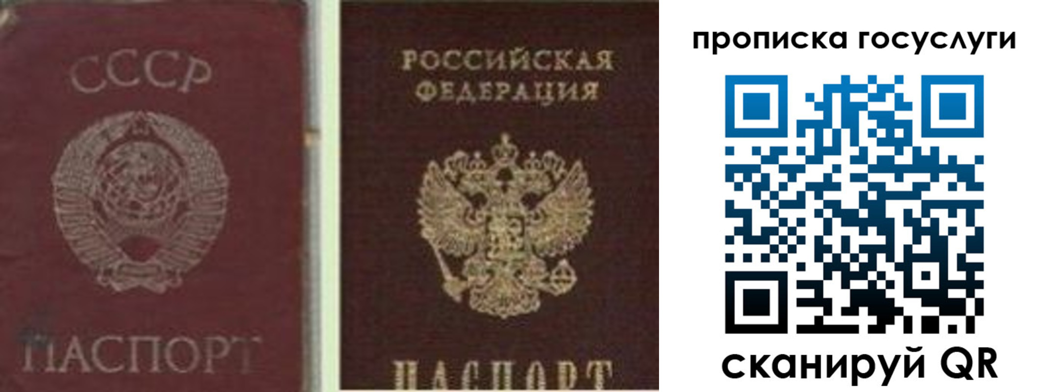временная регистрация 2025 в Выборге